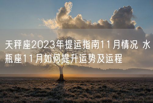 天秤座2023年提运指南11月情况 水瓶座11月如何提升运势及运程(图1)