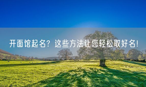 开面馆起名？这些方法让您轻松取好名！(图1)