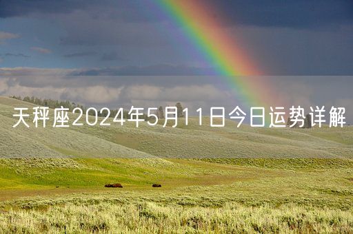 天秤座2024年5月11日今日运势详解(图1)