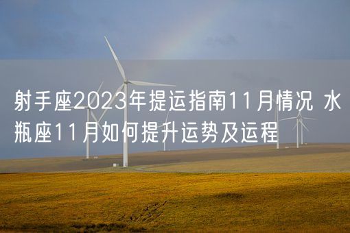 射手座2023年提运指南11月情况 水瓶座11月如何提升运势及运程(图1)