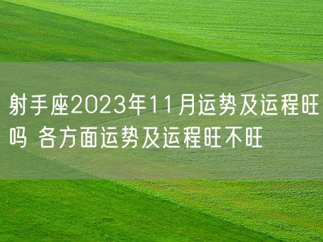 射手座2023年11月运势及运程旺吗 各方面运势及运程旺不旺(图1)