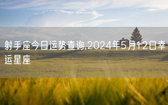射手座今日运势查询,2024年5月12日幸运星座(图1)