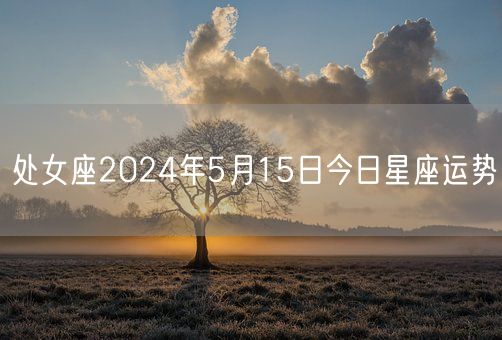 处女座2024年5月15日今日星座运势(图1)