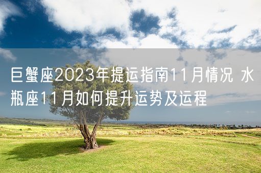 巨蟹座2023年提运指南11月情况 水瓶座11月如何提升运势及运程(图1)