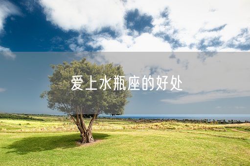爱上水瓶座的好处(图1) 爱上水瓶座的好处(图1)