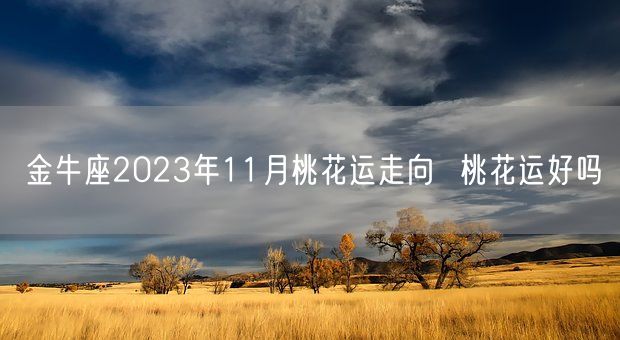 金牛座2023年11月桃花运走向  桃花运好吗(图1)