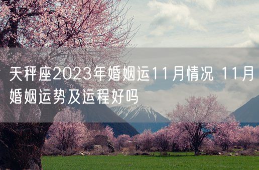 天秤座2023年婚姻运11月情况 11月婚姻运势及运程好吗(图1)