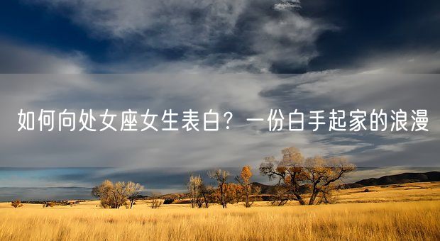 如何向处女座女生表白？一份白手起家的浪漫(图1)