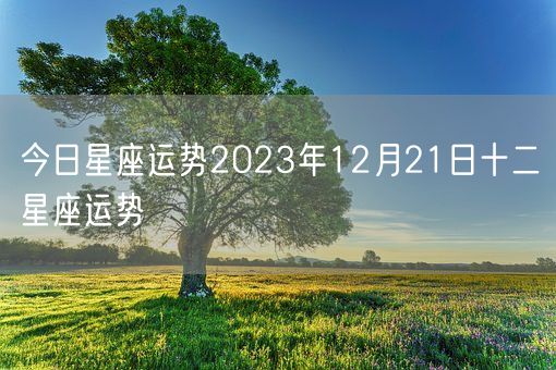 今日星座运势2023年12月21日十二星座运势(图1)