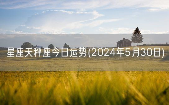 星座天秤座今日运势(2024年5月30日) (图1)