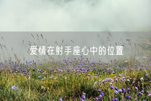 爱情在射手座心中的位置(图1)