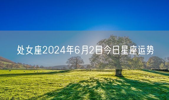 处女座2024年6月2日今日星座运势(图1)