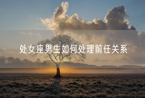 处女座男生如何处理前任关系(图1)