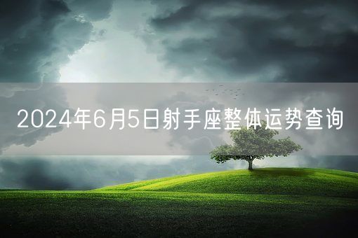 2024年6月5日射手座整体运势查询(图1)