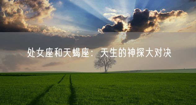 处女座和天蝎座：天生的神探大对决(图1)