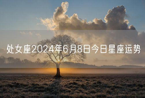处女座2024年6月8日今日星座运势(图1)