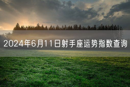 2024年6月11日射手座运势指数查询(图1)