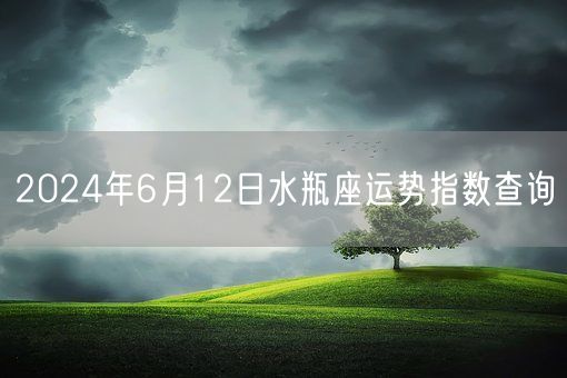 2024年6月12日水瓶座运势指数查询(图1)