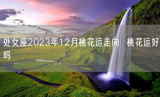 处女座2023年12月桃花运走向  桃花运好吗(图1)