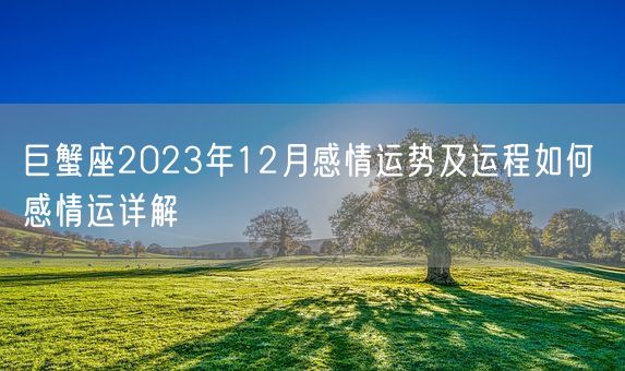 巨蟹座2023年12月感情运势及运程如何 感情运详解(图1)