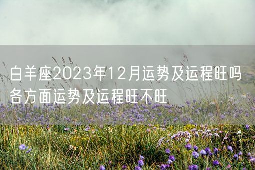 白羊座2023年12月运势及运程旺吗 各方面运势及运程旺不旺(图1)