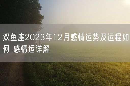 双鱼座2023年12月感情运势及运程如何 感情运详解(图1)