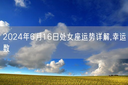 2024年6月16日处女座运势详解,幸运数(图1)