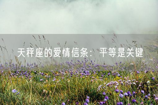 天秤座的爱情信条：平等是关键(图1)