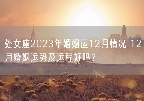 处女座2023年婚姻运12月情况 12月婚姻运势及运程好吗？(图1)