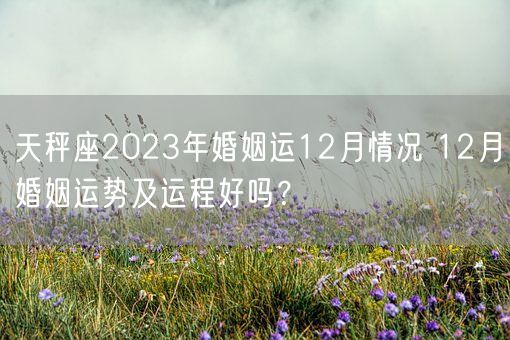 天秤座2023年婚姻运12月情况 12月婚姻运势及运程好吗？(图1)