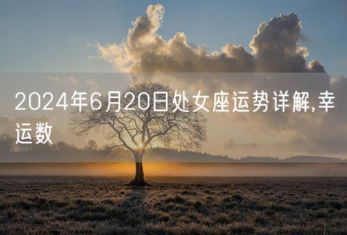 2024年6月20日处女座运势详解,幸运数(图1)