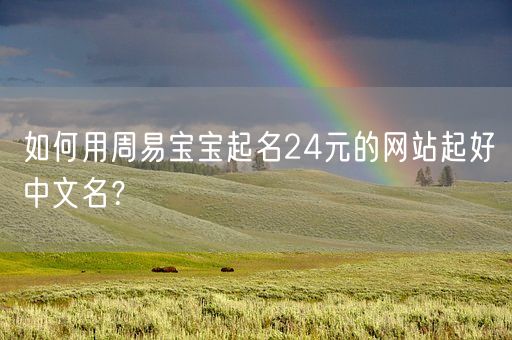 如何用周易宝宝起名24元的网站起好中文名？(图1)