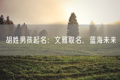 胡姓男孩起名：文雅取名，蓝海未来(图1)