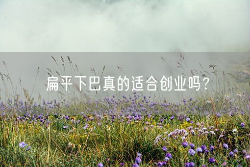 扁平下巴真的适合创业吗？(图1)