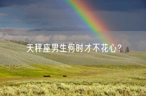 天秤座男生何时才不花心？(图1)