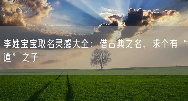 李姓宝宝取名灵感大全：借古典之名，求个有“道”之子(图1)