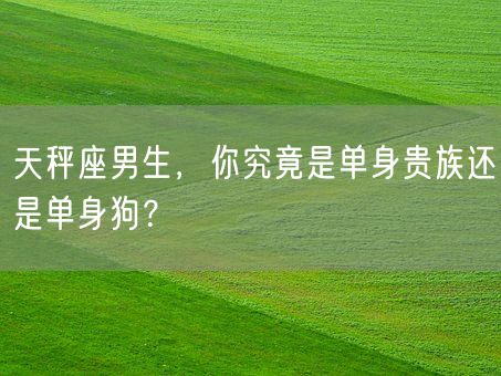 天秤座男生，你究竟是单身贵族还是单身狗？(图1)