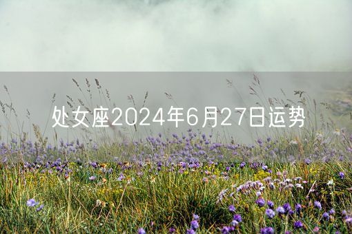 处女座2024年6月27日运势(图1)