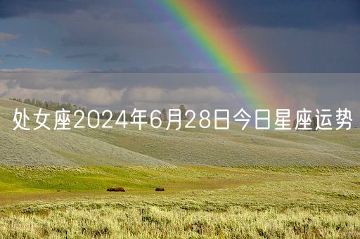 处女座2024年6月28日今日星座运势(图1)