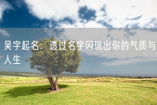 吴字起名：透过名字闪现出你的气质与人生(图1)