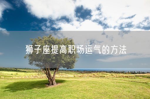 狮子座提高职场运气的方法(图1)