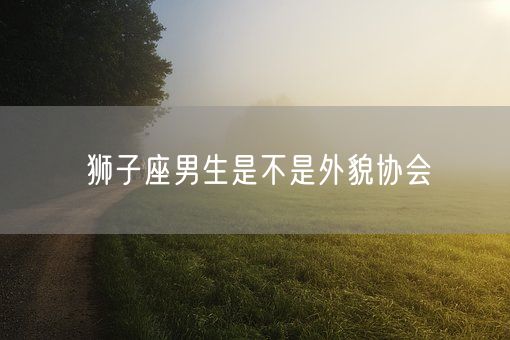 狮子座男生是不是外貌协会(图1)