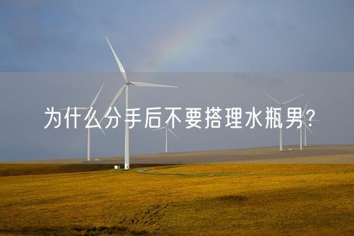 为什么分手后不要搭理水瓶男？(图1)