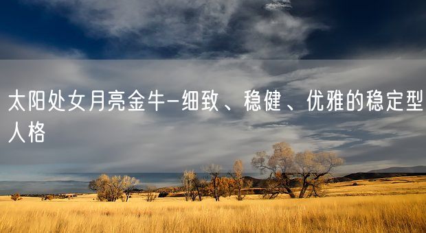 太阳处女月亮金牛-细致、稳健、优雅的稳定型人格(图1)
