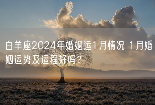 白羊座2024年婚姻运1月情况 1月婚姻运势及运程好吗?(图1) 白羊座2024年婚姻运1月情况 1月婚姻运势及运程好吗?(图1)
