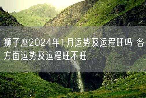 狮子座2024年1月运势及运程旺吗 各方面运势及运程旺不旺(图1)