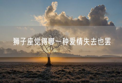 狮子座觉得哪一种爱情失去也罢(图1)