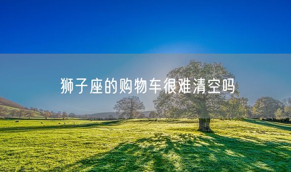 狮子座的购物车很难清空吗(图1)