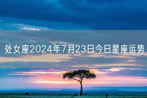 处女座2024年7月23日今日星座运势(图1)