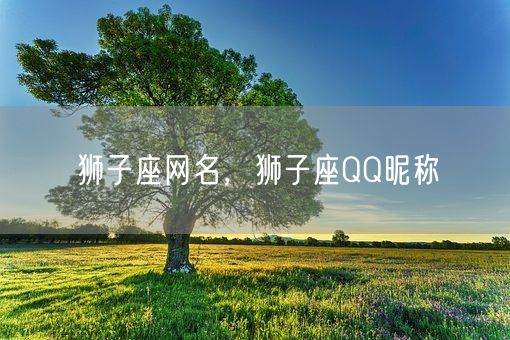 狮子座网名，狮子座QQ昵称(图1)